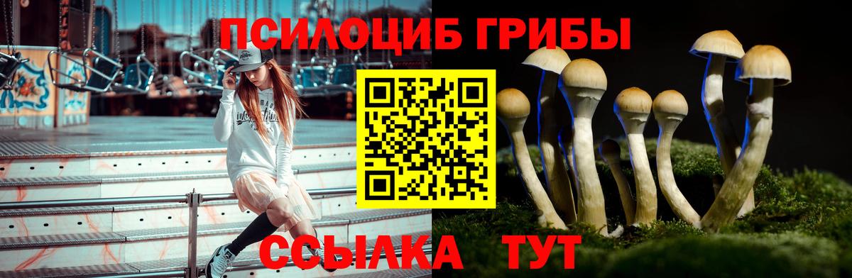 Псилоцибиновые грибы Psilocybe  Вход с VPN  Верхний Уфалей  Галлюциногенные грибы прущие грибы 